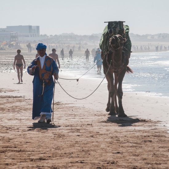 1-day Tour - Marrakech to Essaouira gallery