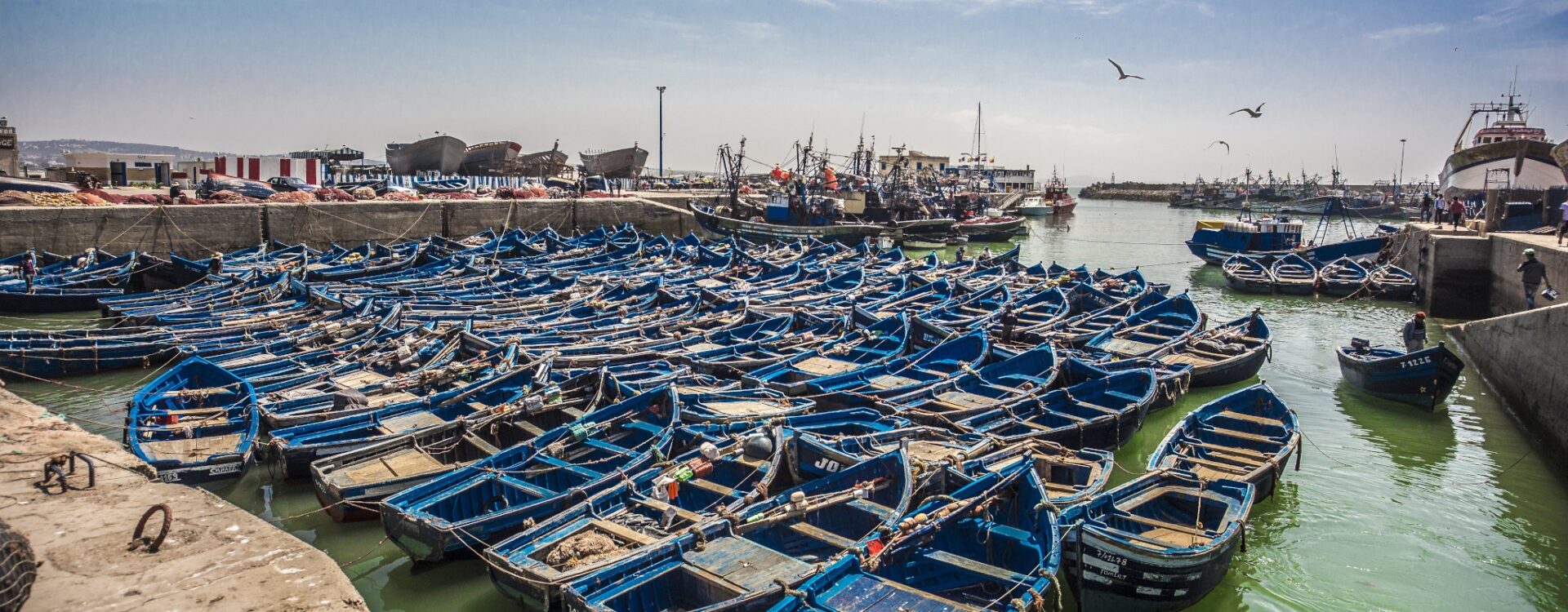 Day Trip to Essaouira from Marrakech