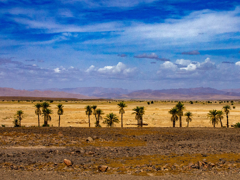 South to North Morocco Tour 10 Days
