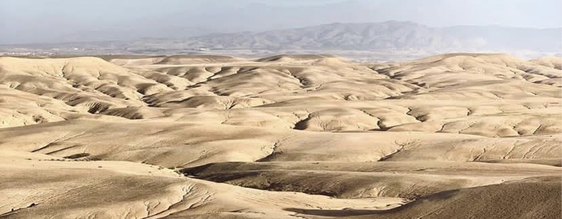 Day Trip to Agafay Desert from Marrakech