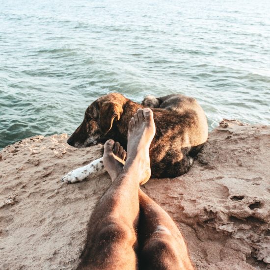 Coastal Morocco Tour 7 Days Gallery