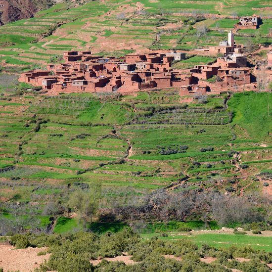 1-day Marrakesh – Ourika Valley Tour gallery