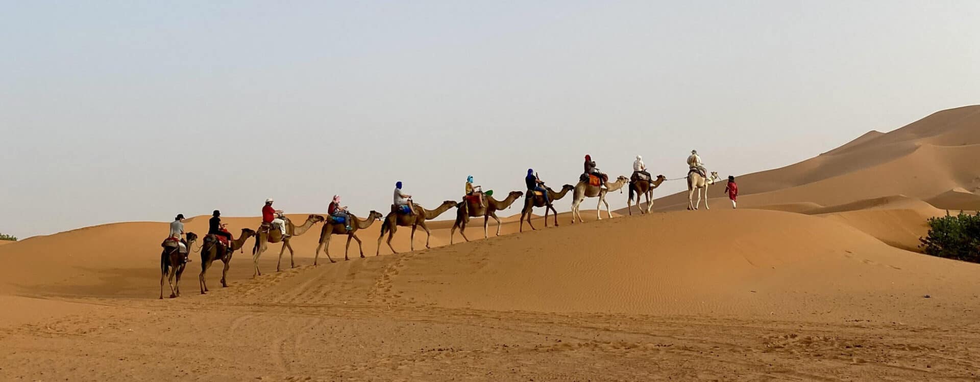 Merzouga camel ride