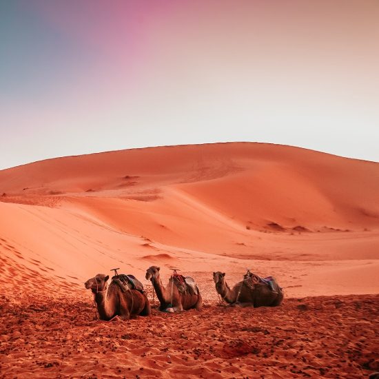 Moroccan Experience Tour / 10 Days