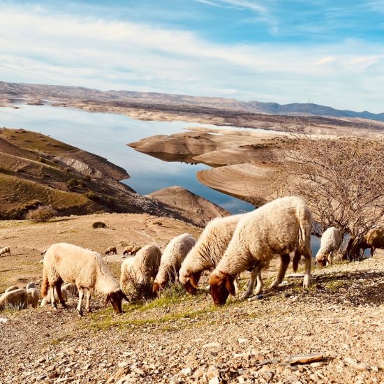 Moroccan Explorer Tour 10 Days gallery