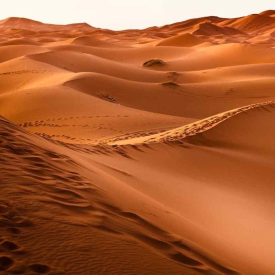 Sahara Desert Tour from Marrakesh to Fes / 3 days gallery
