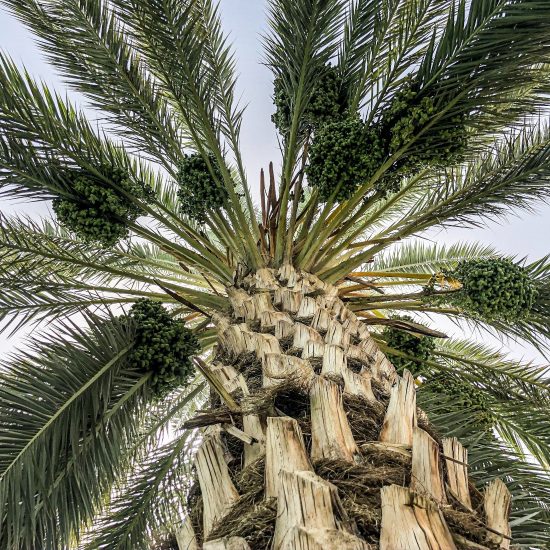 Your Heart’s Desire – Custom Morocco Trip gallery