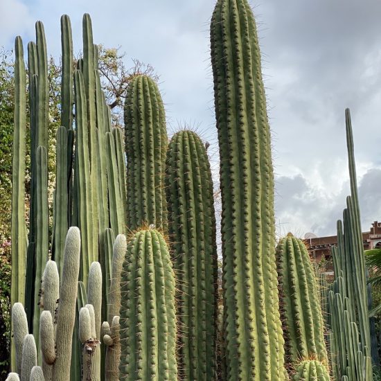 Your Heart’s Desire – Custom Morocco Trip gallery
